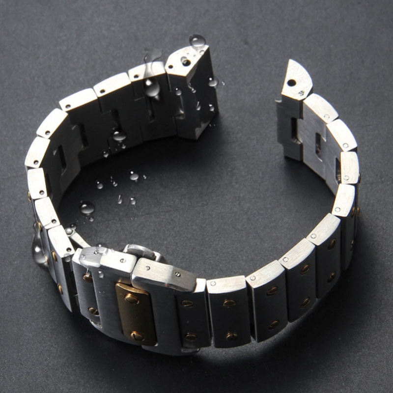 Correa de reloj de acero inoxi - Cartier Watch Santos reseña y precio